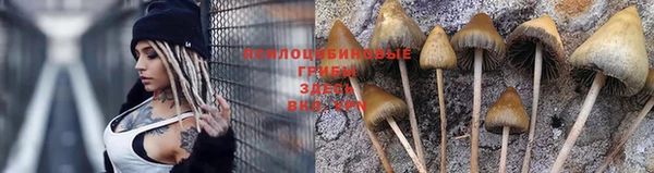 гидропоника Мегион